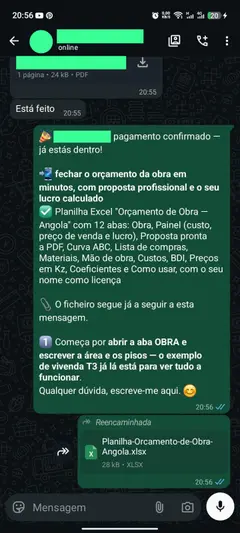 Cliente recebeu a planilha logo depois do comprovativo